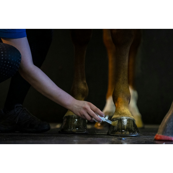 Hoof Dressing Liquide – Image 3