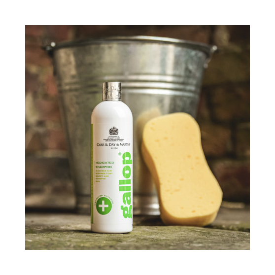 Shampoing Gallop Anti-Bactérien