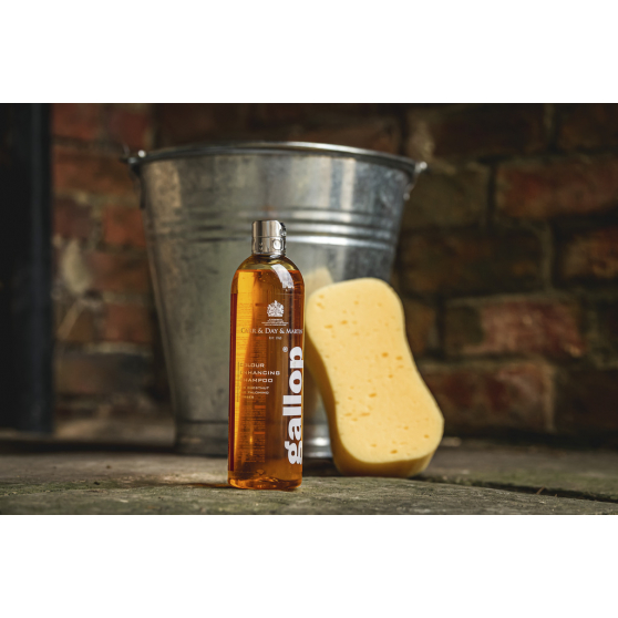 Shampoing Gallop Noisette et Palomino