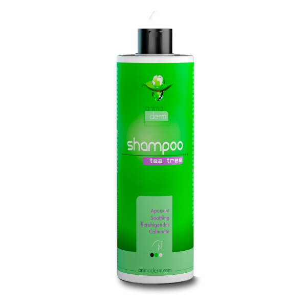 Shampoo Tea Tree