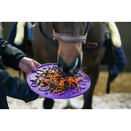 Tapis de léchage Graze Maze