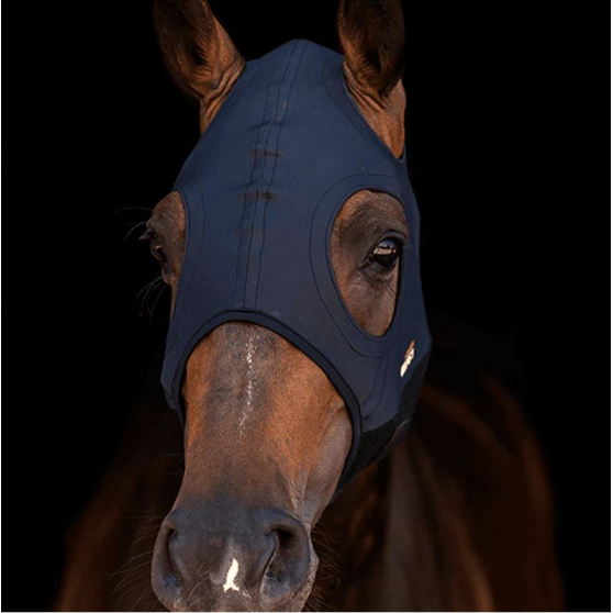 Masque Come Best Titanium