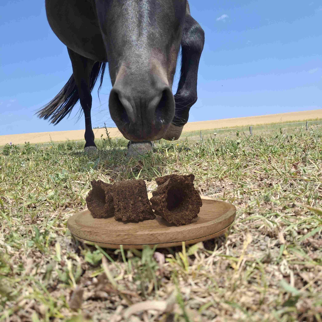 EquEasy Food – Image 3