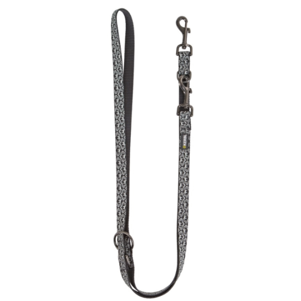 Laisse longue pour chien Shiny Night