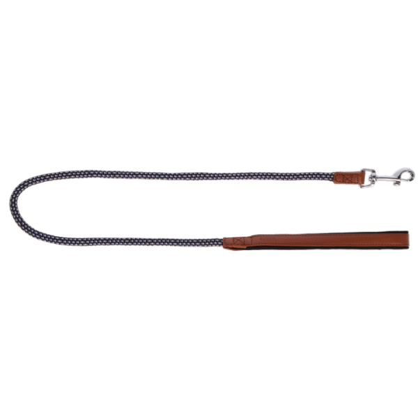 Laisse pour chien Phoenix