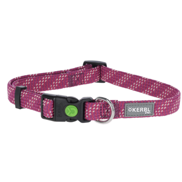 Collier pour chien Colorado