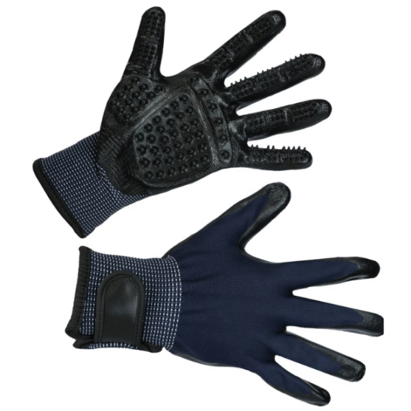 Gant étrille et de massage