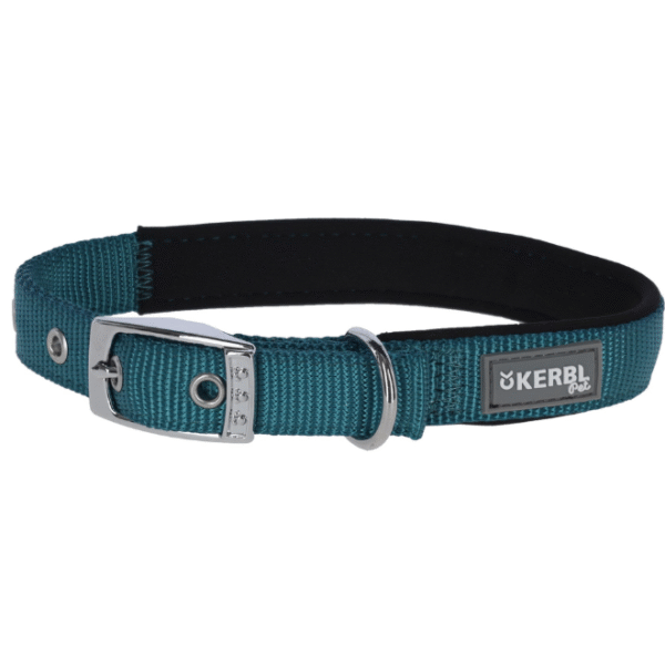 Collier pour chien Miami Plus