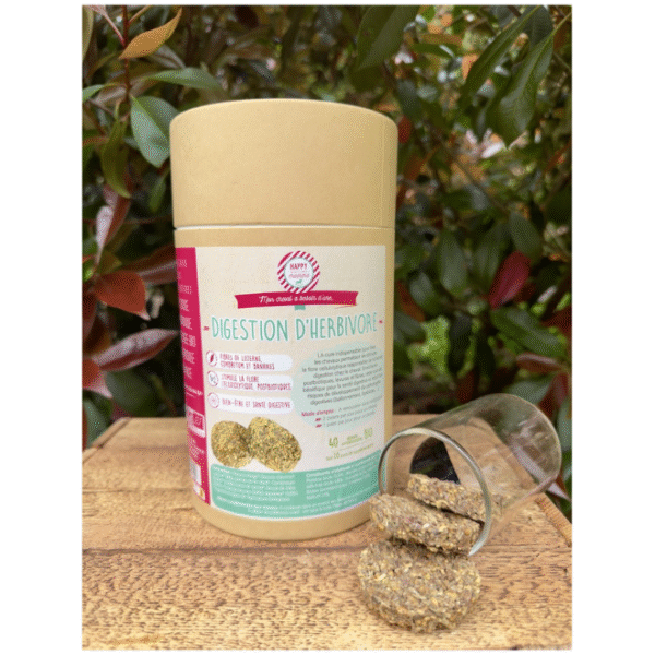 Digestion Herbivore Bio