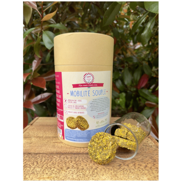 Mobilité Souple Bio