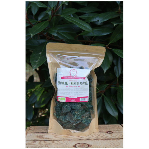 Crackers Spiruline Menthe poivrée