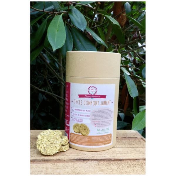 Cycle Confort Jument