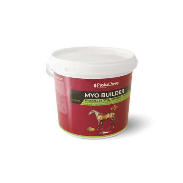 Myo Builder